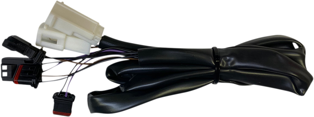 CUSTOM DYNAMICS Integrated Taillight Harness - Low Rider '18-'24