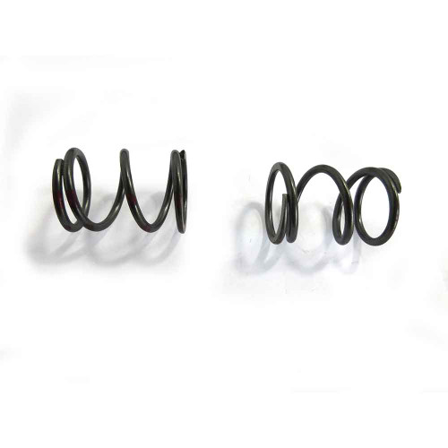 (2) Pack of 36Lb Valve Springs