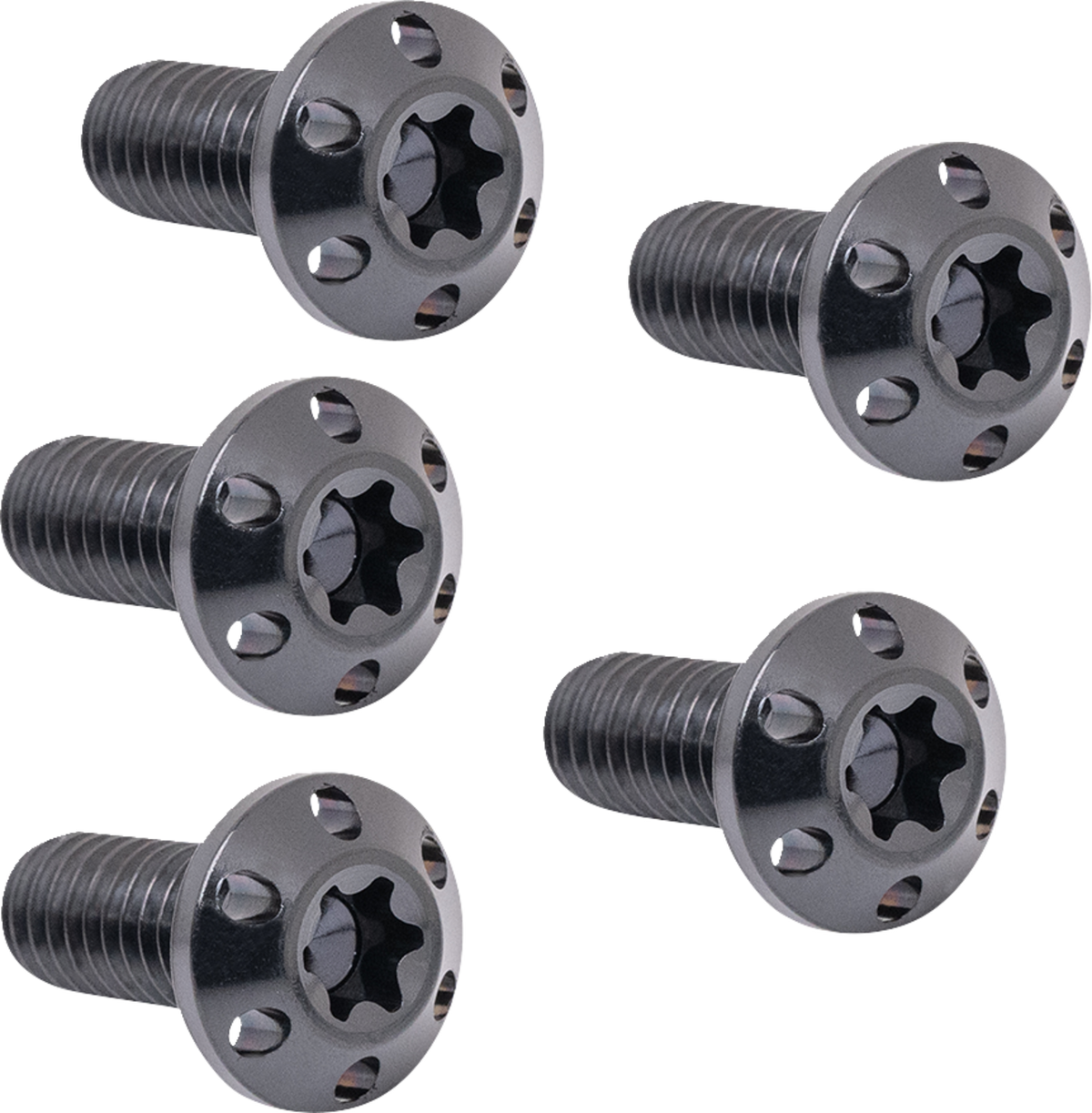 ARLEN NESS Bolt Kit - Holeshot Brake Rotor - Rear - Hub Mount - 5 Pack - Softail '91-'99