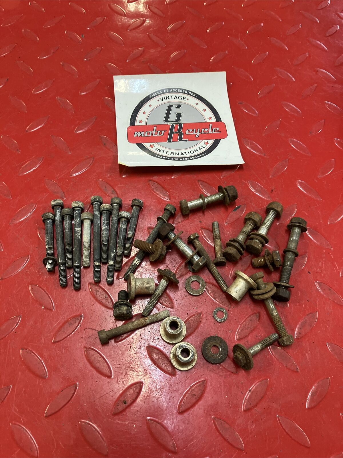 CAN-AM QUALIFIER 250 1977 ENGINE MOTOR FRAME BOLT NUT HARDWARE