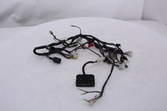 Kawasaki EX250 Ninja Main Wire Harness 26030-1351