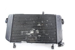 Suzuki 1999-2002 SV650/S Radiator OEM