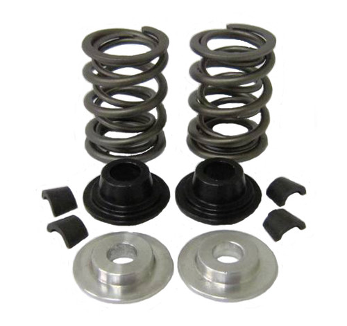 Dual Valve Spring Kit for Briggs 5HP Raptor